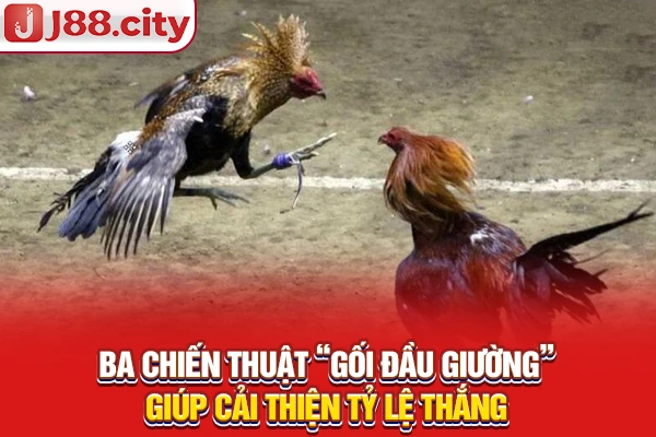 Ba chiến thuật “gối đầu giường” giúp cải thiện tỷ lệ thắng
